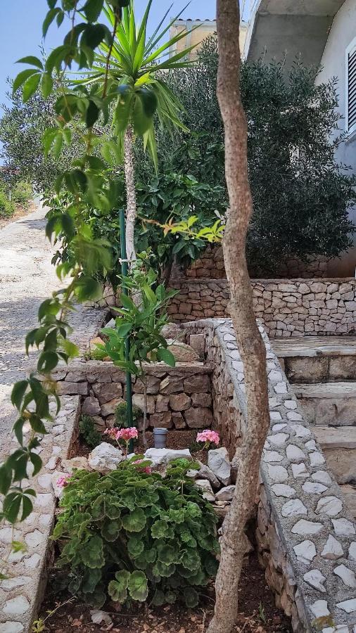 Seafront - Kalebova Luka *
